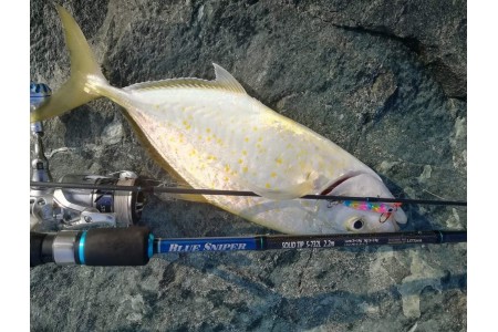 Shore Casting & Jigging 
